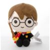 Harry Potter – Harry