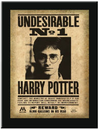 The Noble Collection - Harry Potter Undesirable Wall Plaque